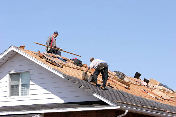 Professional Roofing services in North Weeki Wachee, FL